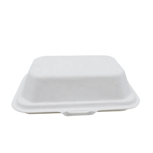 Disposable Box Clamshell Takeaway Sugarcane Bagasse Food Container