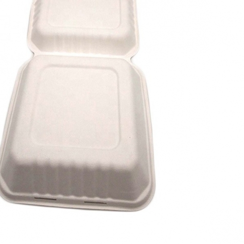 Biodegradable Bagasse Disposable Sugarcane Food Container Ecofriendly