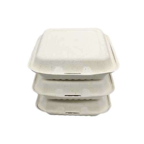 Biodegradable Disposable Food Container Sugarcane Bagasse Packing Box Eco friendly Tableware