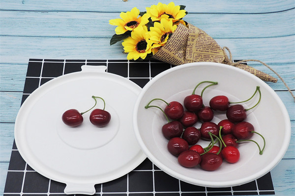 Disposable compostable tableware, one of the carriers of resource recycling