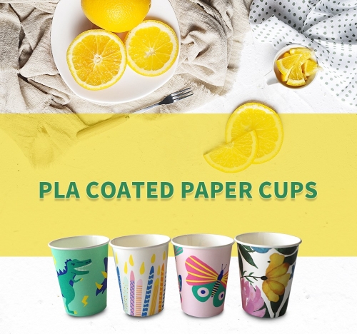 Simple disposable paper cup pla coated