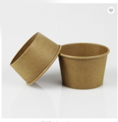 Kraft Paper Ice Cream Cup With Dome Plastic Lid