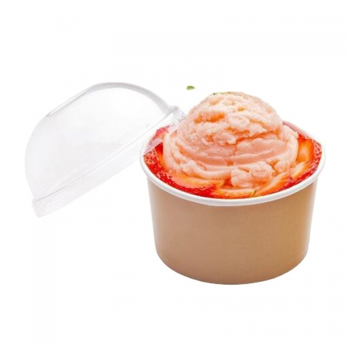 50ml-1000ml Disposable Paper Ice Cream Tubs And Lids