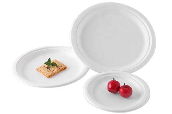 biodegradable bagasse plates