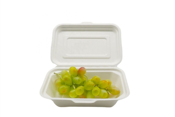 sugarcane bagasse box