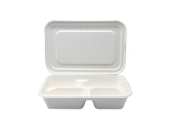 bagasse lunch box