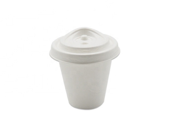 sugarcane biodegradable cups