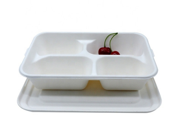 biodegradable food trays