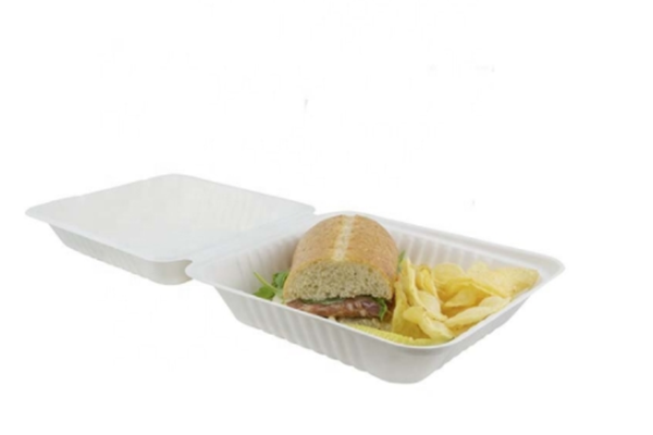 bagasse fast food containers