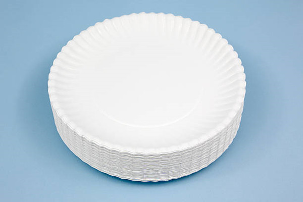 Disposable plate is a must for your outdoor barbecue