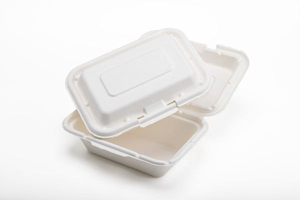 biodegradable sugarcane lunch box