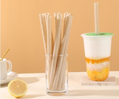 Biodegradable Straws VS Plastic Straws