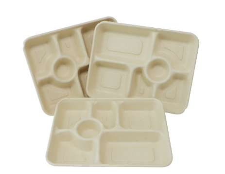 Bagasse Food Packaging: A Sustainable Choice