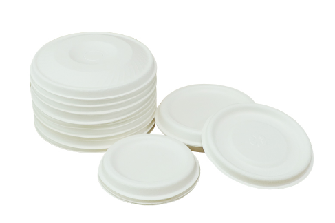 What is Sugarcane Lids?