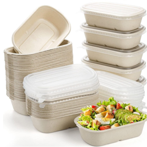 Bagasse Bento Boxes Manufacturer