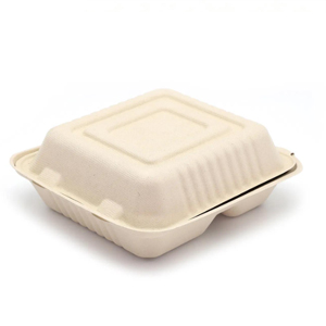 sugarcane food container supplier