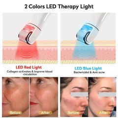 OEM 3 in 1 GloPro LED Derma Roller Microneedle Roller for Hair Growth Face Body Kit
