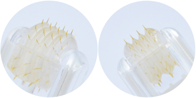 64 Pin Micro Needle Titanium needle Tips Serum Hyaluronic Acid Import Instrument Derma roller For Skin Care