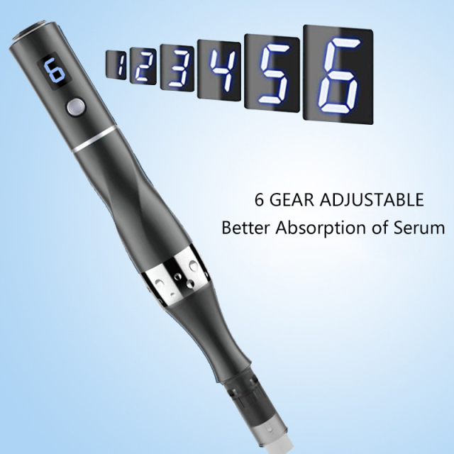 Beauty Equipment Derma Roller Anti Hair Loss Scar Stretch Mark Spot Large Pore Type C Battery Serum 6 Gear Derma Pen