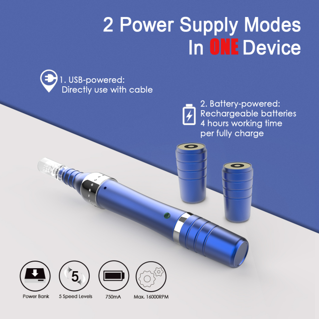 T6 Blue  Derma Pen with 2 Rechargeable Batteries