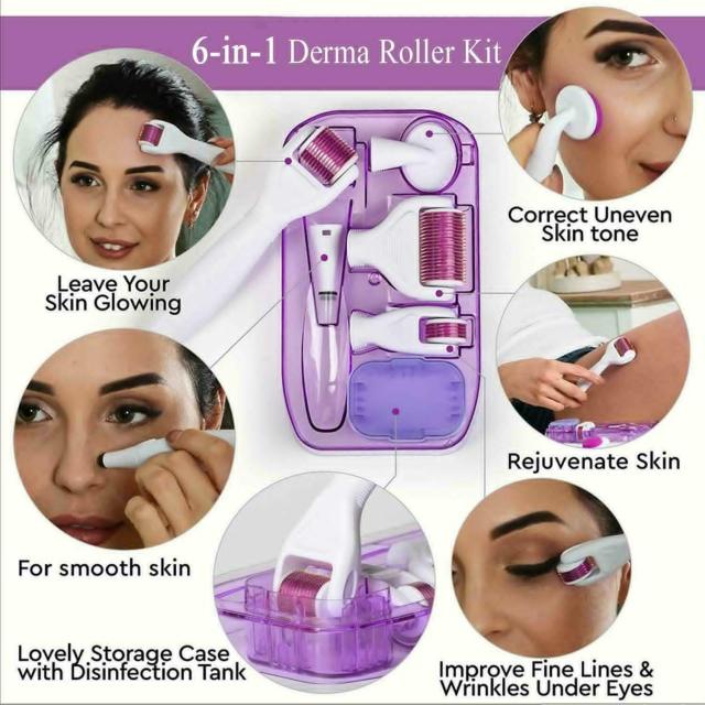 12pins 300pins 750pins 2000pins 6in1 Micro Needle Derma Roller for Face and Body