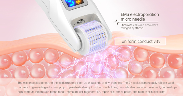 EMS Microcurrent Microneedling Replaceable Head Lifting Beauty Massage Anti Wrinkle Aging LED 540pin Derma Roller