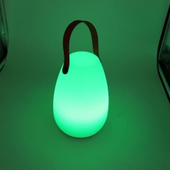 WENDADECO Modern Design Outdoor Portable Camping Light indoor LED Desk Lamp Decorating USB Charging Night Lamp