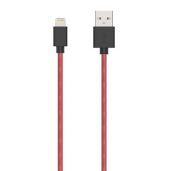USB A to Lightning cable