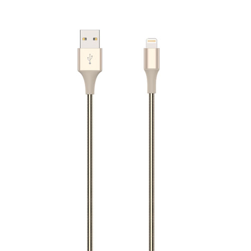 USB A to Lightning cable