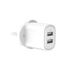 12W Wall Charger- Universal Plug