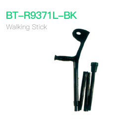 Walking Stick