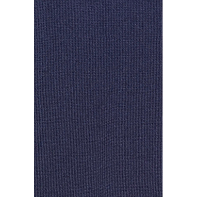 Custom comfort colors basic T shirt for men