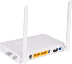 1GE+3FE+VOIP+2.4G WIFI