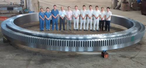 Large size slewing bearing for floating crane