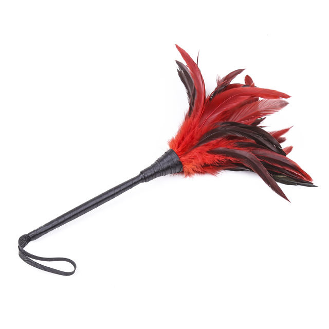 Feather Tickler