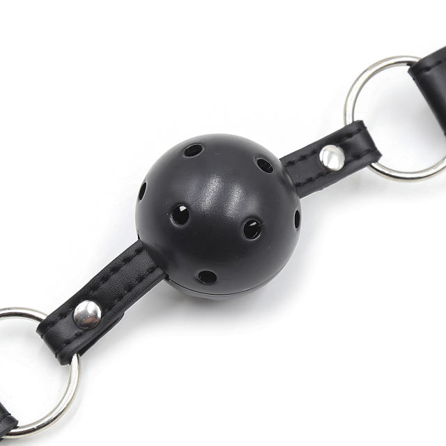 Ball gag with nipple clamps