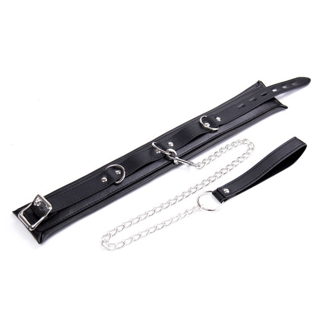 3 D-ring binding collar with chain leash