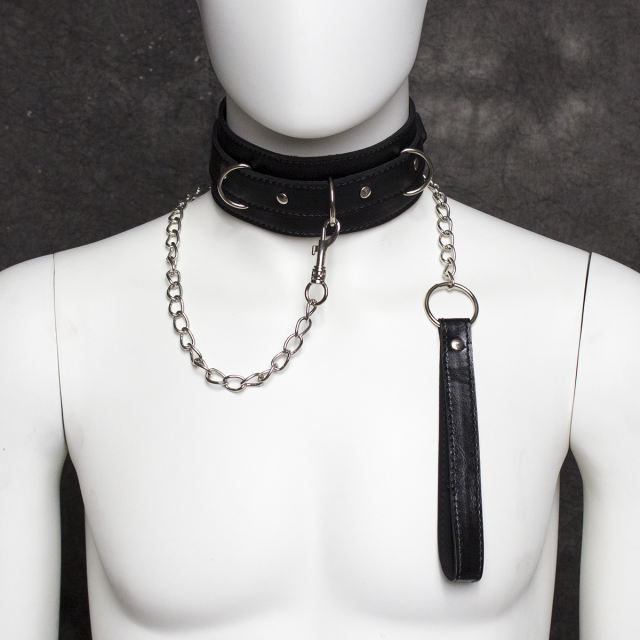 Locking collar with with leash (3 D-ring）