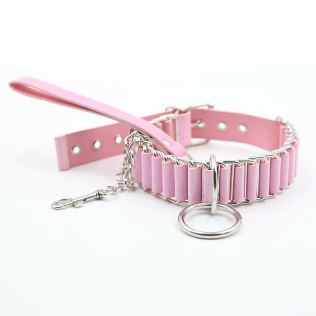 collar with chain leash