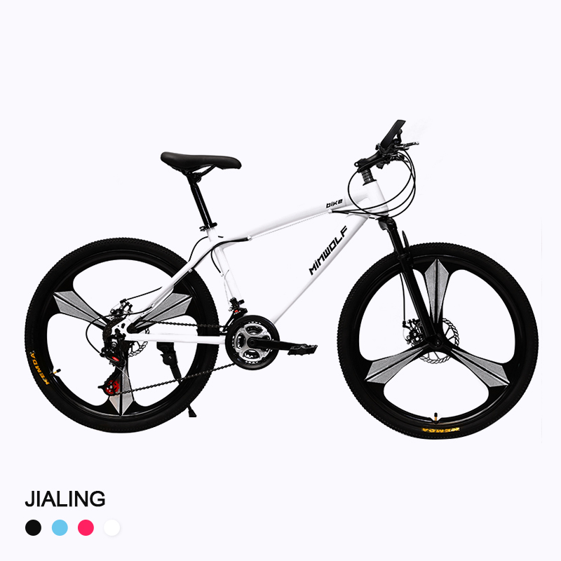 Best-selling MTB in the Second Quarter 2021