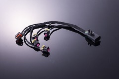 Fuel rail wire harness