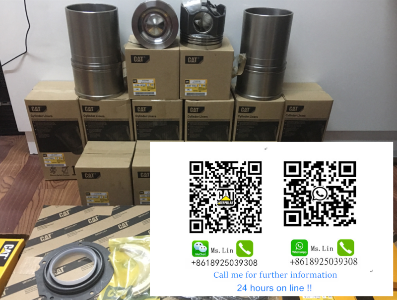 Cylinder Liner 3150 Liner Kit 3160 Piston Set 3176 Sleves Piston 3176B Piston Ring