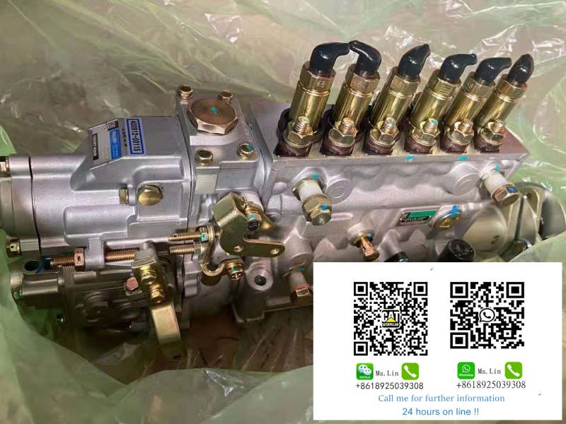 Hydraulic Pump DE08 Motor Pump P225 Pump assembly C4.4DE55E2 Main Pump 320E Piston Pump