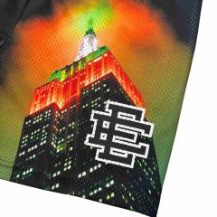1:1 quality version Empire State Building Night View Print Mesh Shorts 28893309