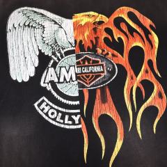 Eagle Flame Double-Pair Logo Print Washed Version tee 28750098