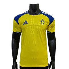2026/2027 Yellow Blue Contrast Sweden Home Authentic Jersey 28898440