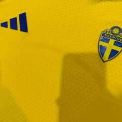 2026/2027 Yellow Blue Contrast Sweden Home Authentic Jersey 28898440