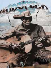 Light blue western cowboy skull guitar double-sided printed T-shirt 29038260