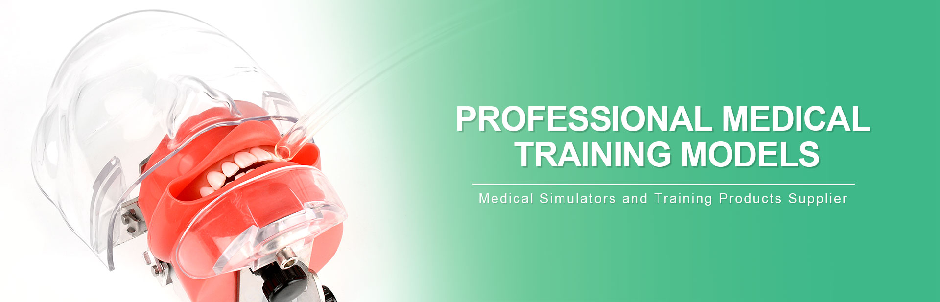 Dental Phantom Training Simulators Teeth Preparation Model