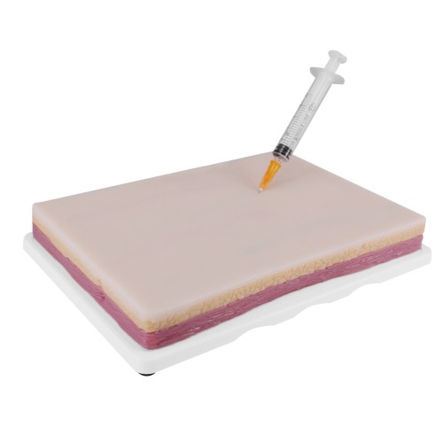 Large Venipuncture IV Injection Practice Pad with 4 Veins on Base
